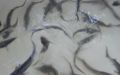 DSCN8806.JPG