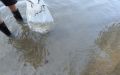 DSCN8807.JPG
