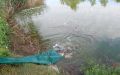 DSCN8877.JPG