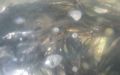 DSCN8902.JPG
