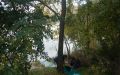 DSCN8938.JPG