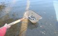 DSCN8973.JPG