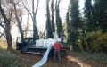 DSCN8976.JPG